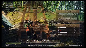 Screenshot von Wild Hearts S