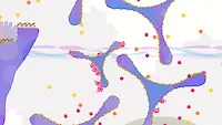 Screenshot6/6