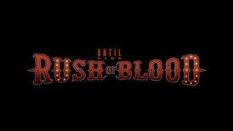 Titelbild von Until Dawn - Rush of Blood ()