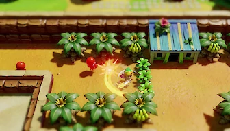 Screenshot vonThe Legend of Zelda: Link's Awakening