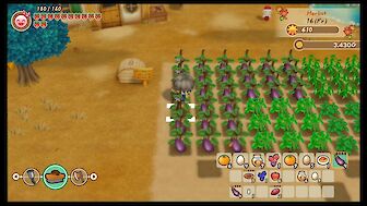 Screenshot vonStory of Seasons: Friends of Mineral Town