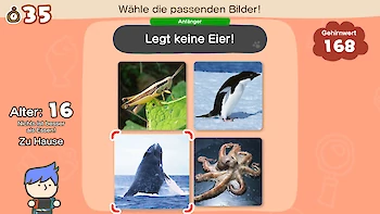 Screenshot von Big Brain Academy: Kopf an Kopf
