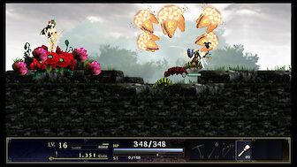 Screenshot vonASTLIBRA Revision
